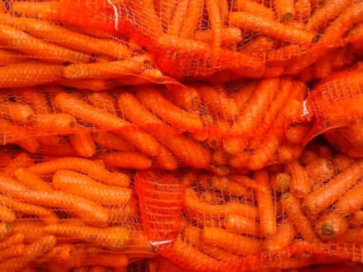 Conditionnement de carottes pour l'export